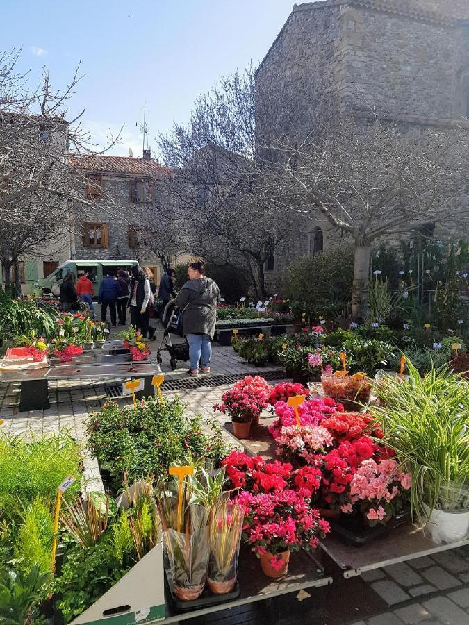 Mountain View Townhouse Quillan Bed & Breakfast Luaran gambar